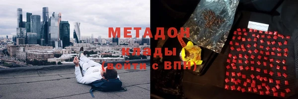 прущие грибы Арсеньев