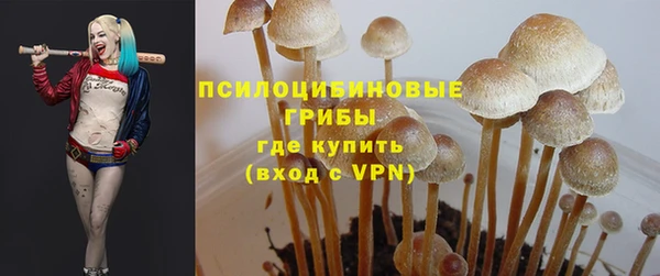 гидра Балахна