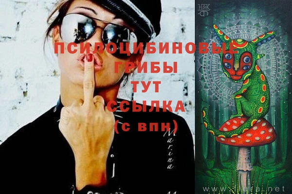 мдпв Армянск