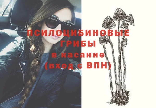 прущие грибы Арсеньев