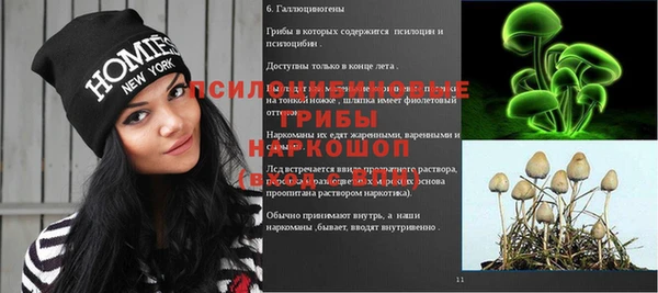мдпв Армянск
