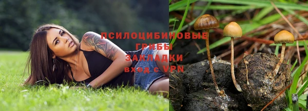 спайс Баксан