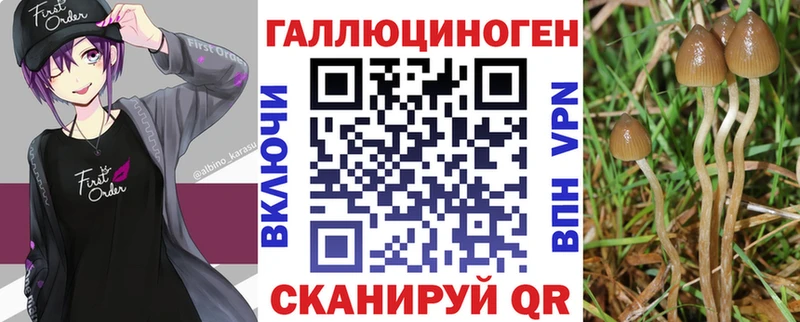 Галлюциногенные грибы ЛСД  Среднеуральск 